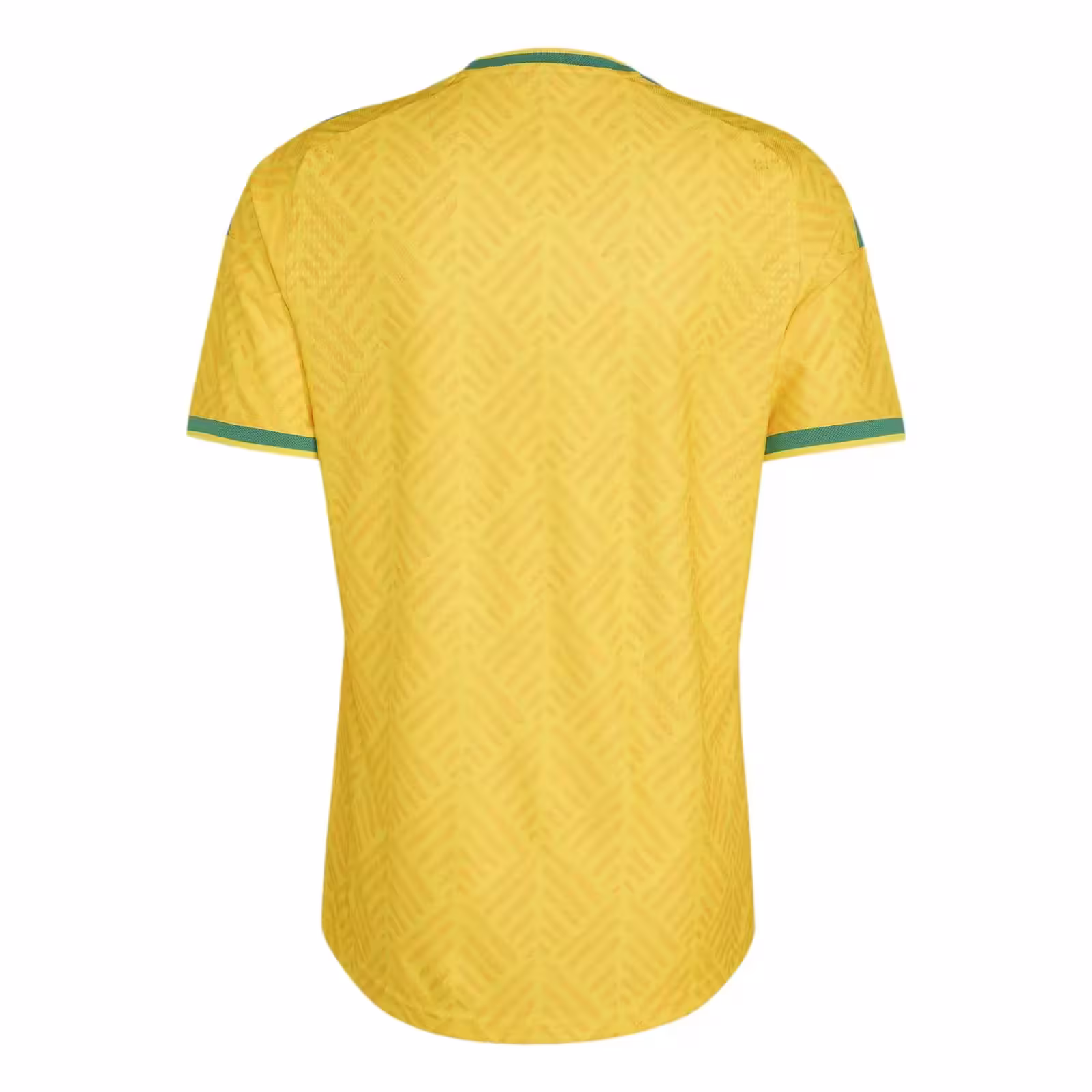 Maillot Afrique du Sud Domicile 2026 - Image 2